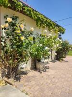 Belle maison de Campagne Confortable avec piscine, pétanque etc 17 couchages - B&B La Bazoche-Gouet