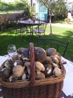 Villa Chanelle - B&B Les Rosiers-sur-Loire