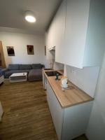 Apartment mit 1 Schlafzimmer