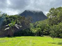 B&B Maraa - Casa Corsa à Moorea - Bed and Breakfast Maraa