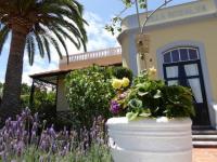 Schöne Wohnung in Puerto De La Cruz mit Gepflegtem Garten - Ferienwohnung Puerto de la Cruz