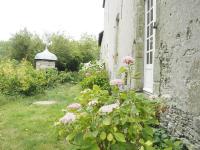 Les Grands-Aulnais - B&B Cossé-le-Vivien