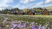 Bystre DOMKI 2 - B&B Nowe Bystre