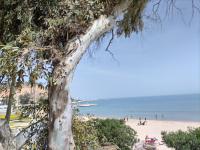 Marsa - Sidi Bousaid Lovely Authentic Apartment - Ferienwohnung