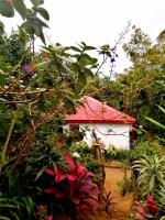 B&B Haputale - The Jungle Life Homestay Thangamalay Sanctuary Haputale by Gisela Sivam - Bed and Breakfast Haputale