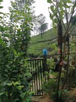 The Jungle Life Homestay Thangamalay Sanctuary Haputale by Gisela Sivam - Chambres d'hôtes Haputale