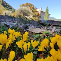 Le Mas d'Antonine - B&B