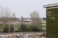 Flytosuite it con 35 Camere 3 Suite Delux - B&B Calderara di Reno