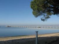 Pin Pon d'Or, petite maison proche de la plage - Ferienwohnung Andernos-les-Bains