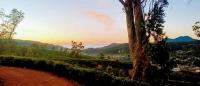 The Paulwood cabana home stay - B&B