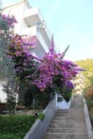 B&B Petrovac na Moru - 4M Apartments - Bed and Breakfast Petrovac na Moru