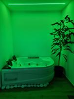 Green room z opcją jacuzzi - B&B Katowice