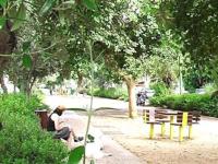 Sunny Home by the Sea - B&B Tel Aviv