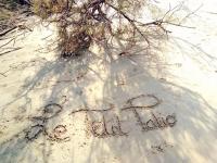 Le Petit Patio - Bed and Breakfast Aigues-Mortes