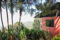 San José del Pacífico- Cabañas Camino al Cielo 4 - B&B San José del Pacífico