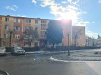 Campia Turzii central apartment - B&B