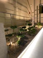 Blue Lagoon Trinisol2 - B&B Benidorm