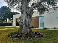 Il Giardino dei Coralli - B&B Plemmirio