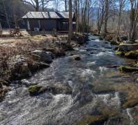 Misty Cove Cabin, Pickleball Court, Creek, WIFI, Mountain Views, No Cleaning Fee - B&B Cosby