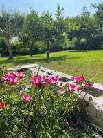 B&B da Francesco - Chambres d’hôtes Paestum