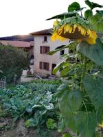 B&B Poule-les-Écharmeaux - Maison de charme, 65km de Lyon, Haut Beaujolais. - Bed and Breakfast Poule-les-Écharmeaux