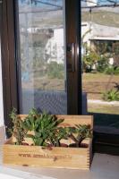 La Vite nel Tempo - a pochi minuti dal mare - B&B Gaeta