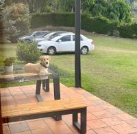 Nativo House - B&B