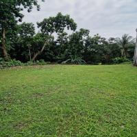 Maison cosy en pleine nature - B&B Capesterre-Belle-Eau