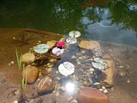 Wohnung am Schwimmteich - Ferienwohnung Blieskastel