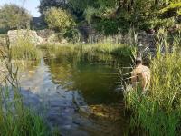 Wohnung am Schwimmteich - Ferienwohnung Blieskastel