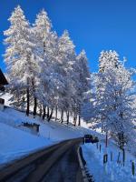 Sweet & Cosy Chalet in the heart of the Swiss Alps - Chambres d'hôtes Troistorrents
