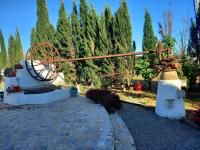 Vila Kuka - B&B