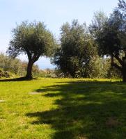 TENUTA PETRONILLA Room - B&B Santa Venerina
