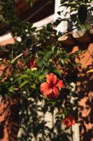 Aiuruoca - B&B Caraiva