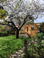 B&B Bergonne - La maisonnette sous le cerisier - Bed and Breakfast Bergonne