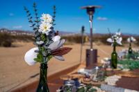 Joshua Tree Village Campground - Glamping Retreat - Chambres d'hôtes Joshua Tree