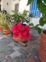 LA CASA DEL VIEJO GEORGE - B&B Girardot City