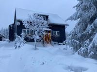 Room #1184053301