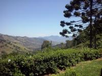 Camera Matrimoniale/Doppia con Letti Singoli con Vista Montagna
