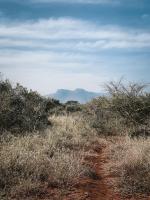 Umkhaya lodge - B&B Mkuze