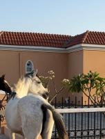 أستراحة أريـــان - B&B Gharayfah