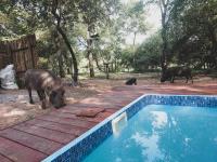 HUIS ASEM - B&B