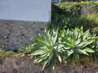 Chambre Lit King-Size - Vue sur Mer