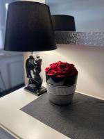 Appartement met Balkon