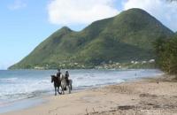 Tropi Kay' Location - Bungalow avec jacuzzi - B&B Le Diamant