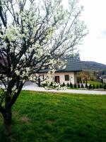 Zielone Zacisze domki - B&B Tylmanowa