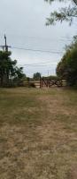 La lechuza - B&B Pueblo Liebig