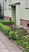 Apartament 22 Stycznia 3 - B&B