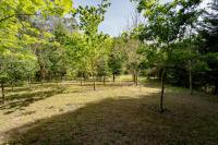 Cabaña quinta do Conde - B&B Ponteareas