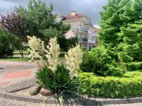 Baltic Apartament Studio z Ogródkiem Grzybowo Kołobrzeg - B&B Grzybowo